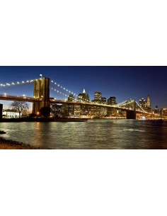 Vista panorámica del Bajo Manhattan al anochecer, Nueva York