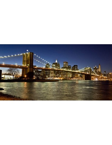 Vista panorámica del Bajo Manhattan al anochecer, Nueva York