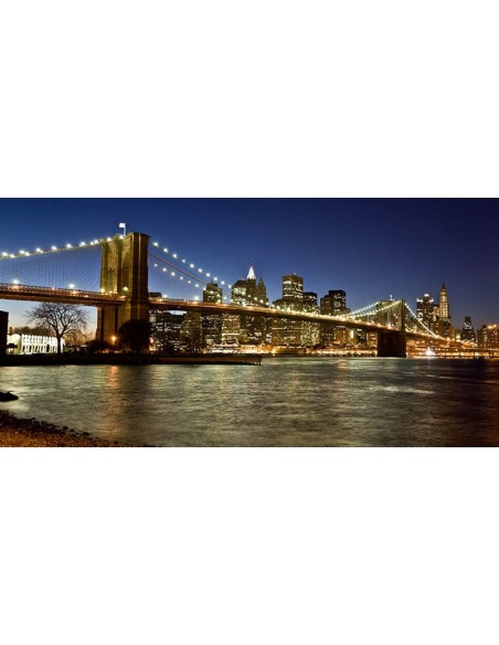 Vista panorámica del Bajo Manhattan al anochecer, Nueva York