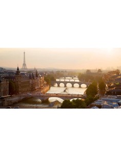 Puentes sobre el río Sena, París