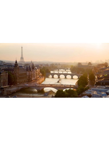 Puentes sobre el río Sena, París