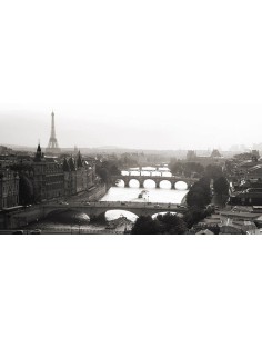 Puentes sobre el río Sena, París