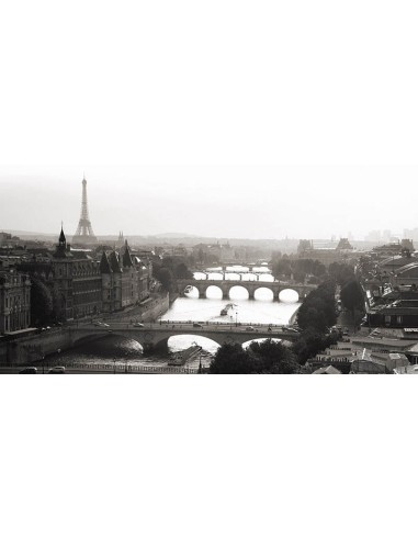 Puentes sobre el río Sena, París