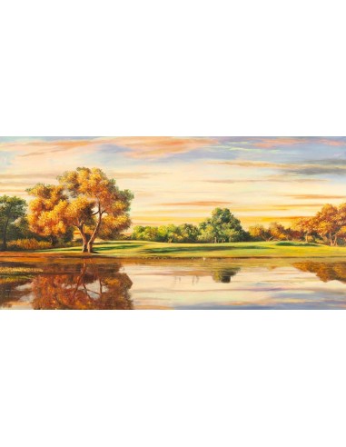 Reflexiones sobre el lago