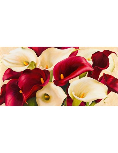 Composición de cala