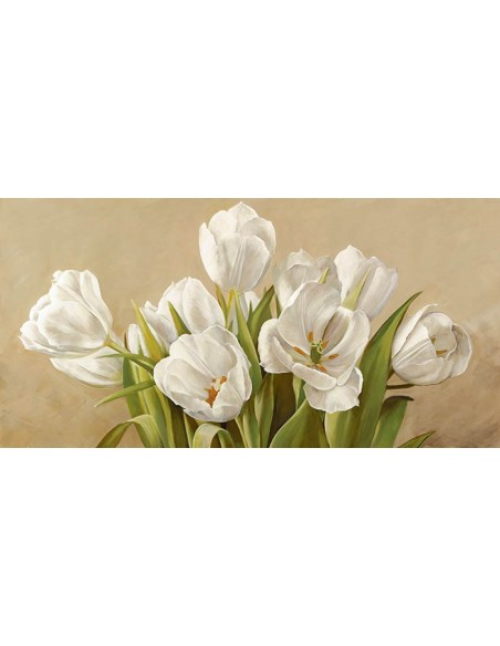 tulipanes blancos