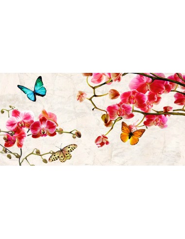 Orquídeas y mariposas