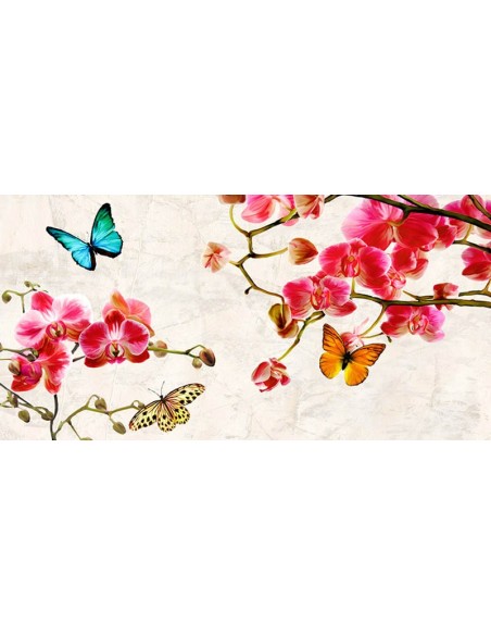 Orquídeas y mariposas