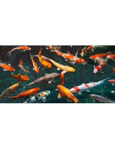 Estanque con peces koi (detalle)