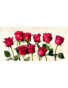 Una rosa es una rosa es una rosa