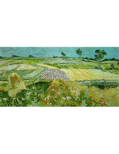 La llanura de Auvers