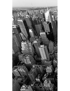 Rascacielos en Manhattan I