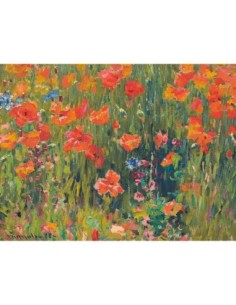 Amapolas