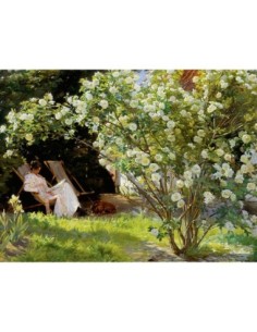 Sentado en el jardín de rosas