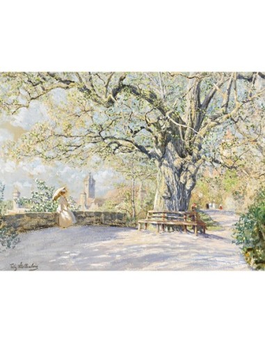 Una vista de Klingentor