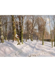 Camino forestal nevado bajo la luz del sol