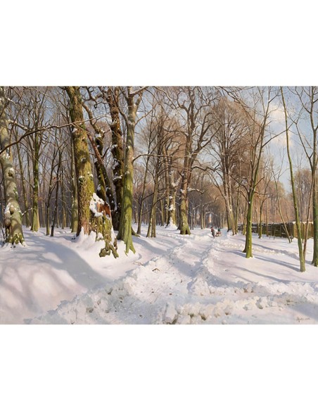 Camino forestal nevado bajo la luz del sol