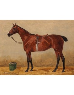 Bahía en un establo