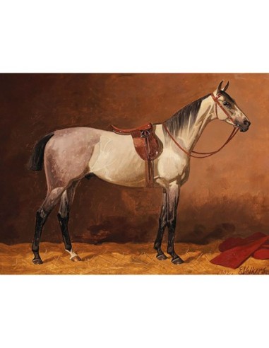 Caballo deportivo ensillado