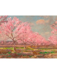 Huerto de melocotones en la granja Mavericks