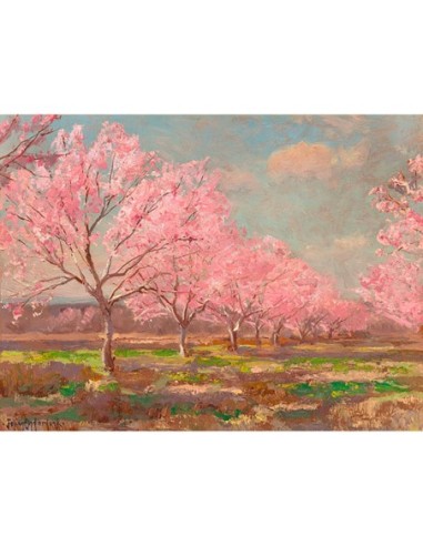 Huerto de melocotones en la granja Mavericks