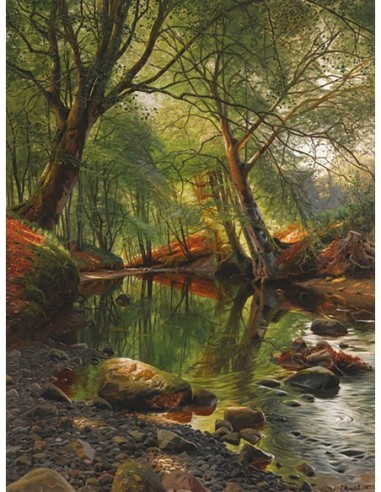 Un arroyo en el bosque