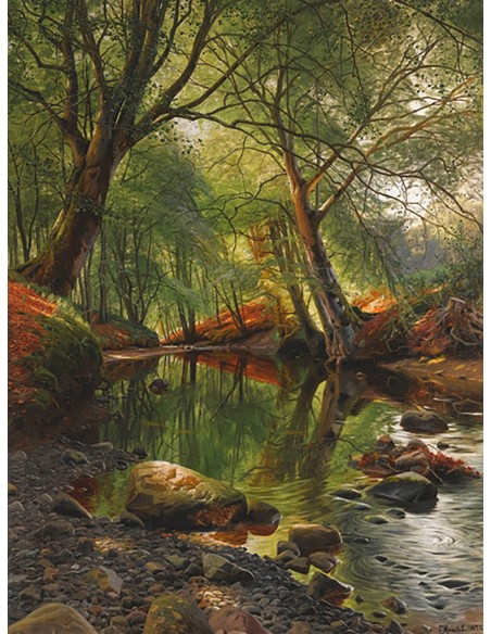 Un arroyo en el bosque