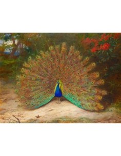 Pavo real y mariposa pavo real