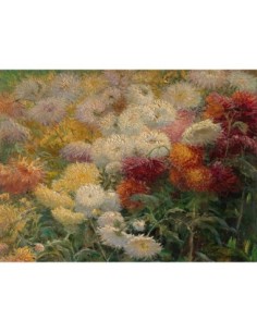 Crisantemos en el jardín de Petit-Gennevilliers