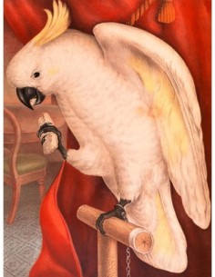 Gran cacatúa de cresta azufre