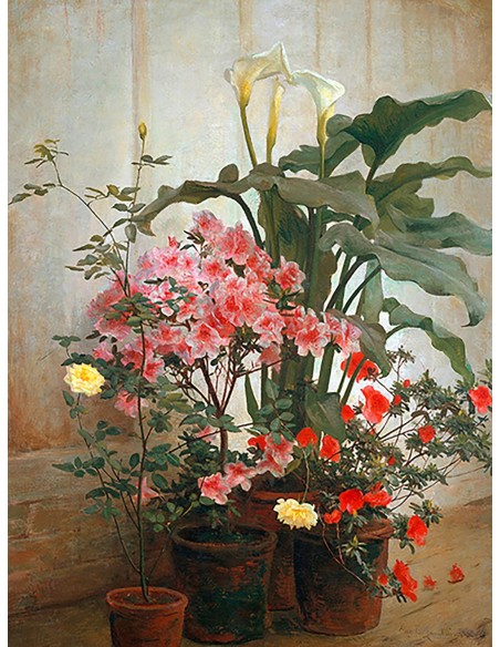 Lado de un invernadero