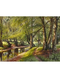 Un día de verano en el bosque.