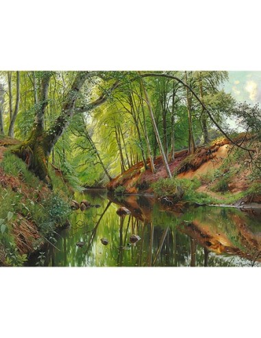 Un arroyo en el bosque