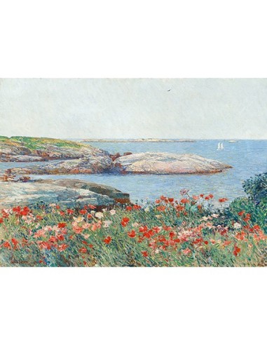 Amapolas, Islas de Shoals