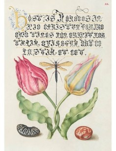 Del Libro Modelo de Caligrafía, I