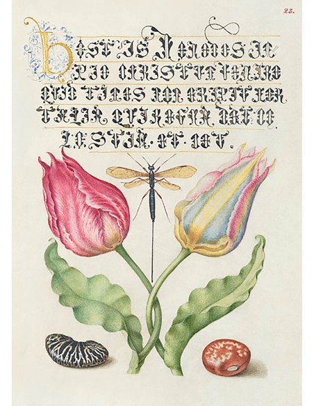 Del Libro Modelo de Caligrafía, I