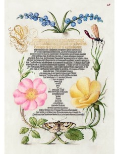 Del Libro Modelo de Caligrafía, II