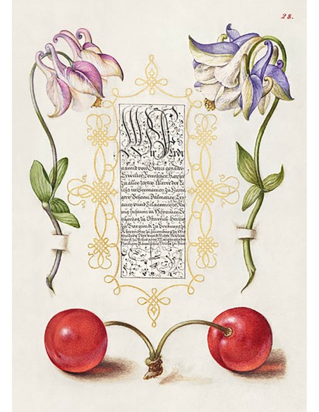 Del Libro Modelo de Caligrafía, III