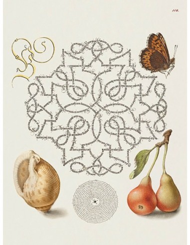 Del Libro Modelo de Caligrafía, IV