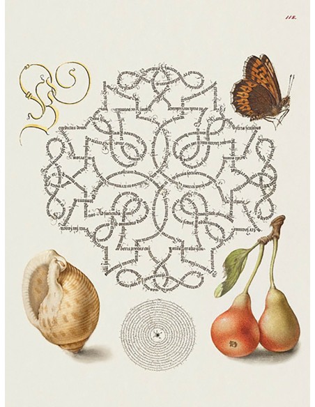 Del Libro Modelo de Caligrafía, IV