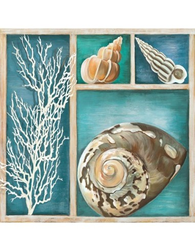 Colección de Memorias IV