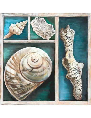 Colección de Memorias V