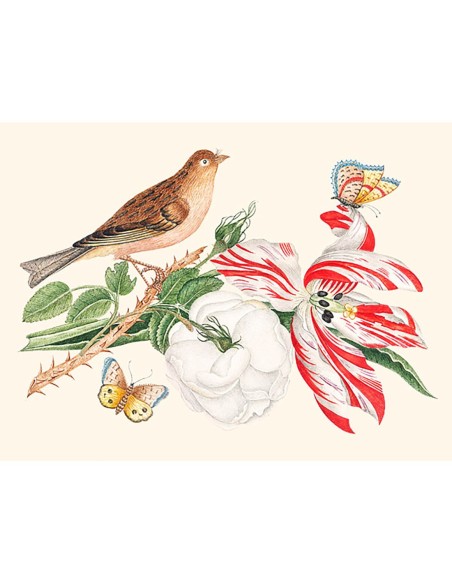 Un pájaro en una rama con rosas, tulipanes y mariposas.