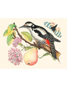 Un pájaro posado en una rama.