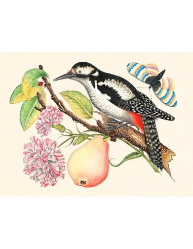 Un pájaro posado en una rama.