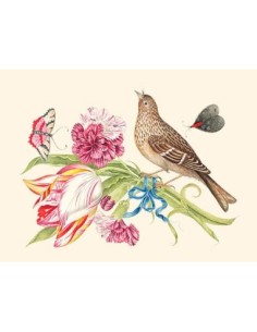 Ramo de claveles y tulipanes