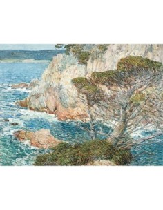 Point Lobos, Carmel
