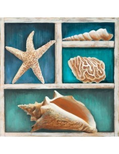 Colección de Memorias VI