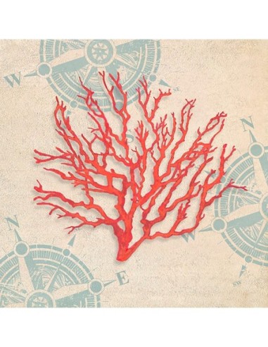 Regalo del océano IV