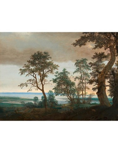 Paisaje fluvial visto a través de los árboles, c. 1638